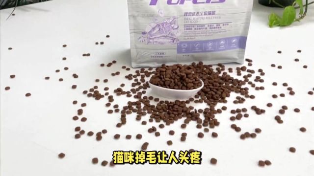 吃了不掉毛的猫粮,我选了福派斯理想体态猫粮