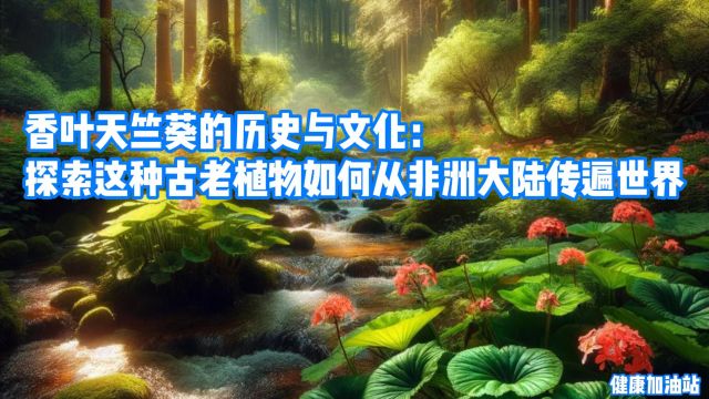 香叶天竺葵的历史与文化:探索这种古老植物如何从非洲大陆传遍世界