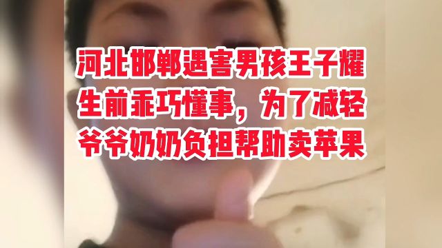 河北邯郸遇害男孩王子耀为了减轻爷爷奶奶负担,帮助买苹果.