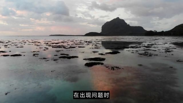 应对墨菲定律:保持警惕合理规划加强学习和团队合作