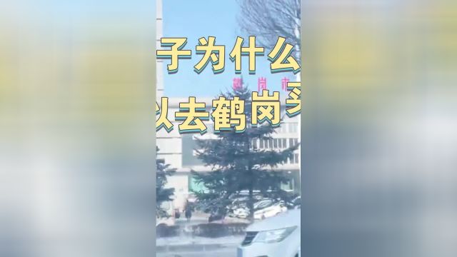 鹤岗的房子为什么那么便宜,可以去鹤岗买房,然后躺平吗?