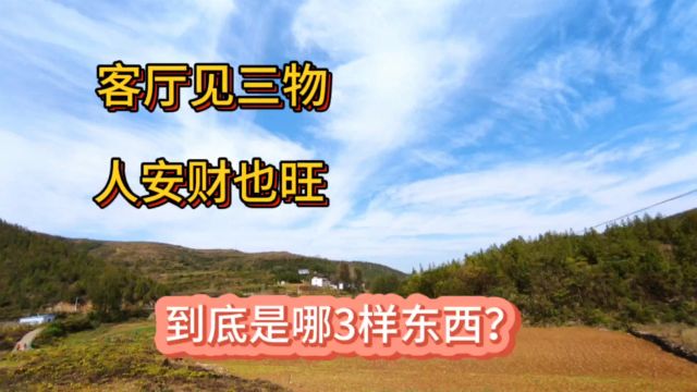 俗语:客厅见三物,人安财也旺!是哪3样东西适合放客厅?