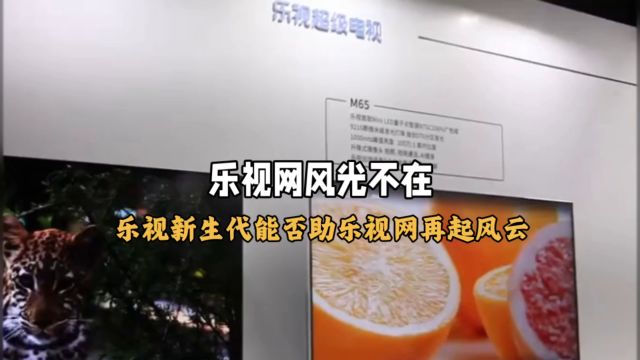 乐视新生代文化传媒逆袭:参保人数增长,能否助乐视网再起风云