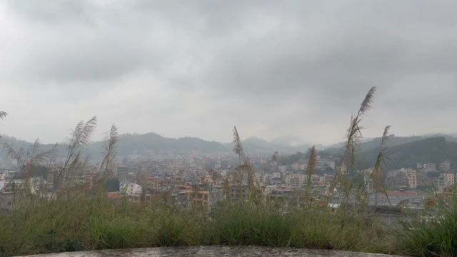 贵港五龙汇聚,发族大地欣赏