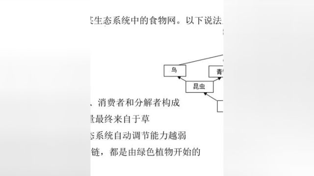 生态系统食物网的问题 初中生物 必考考点 提分秘籍 易错题 知识点