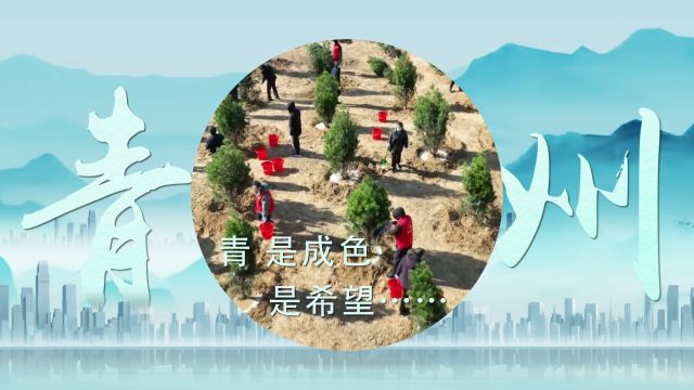 植树节:厚“植”绿色希望 共建美丽青州