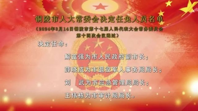 铜陵市人大常委会决定任免人员名单