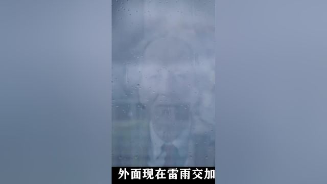 影史上最少见的小男孩和鹈鹕素材类的电影