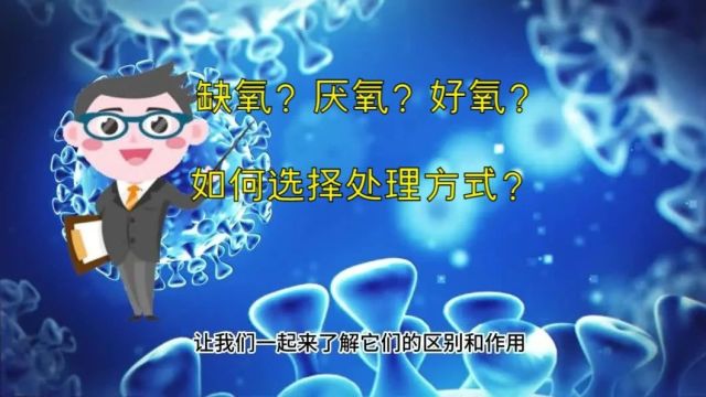 探究废水处理:缺氧、厌氧和好氧的差异和作用