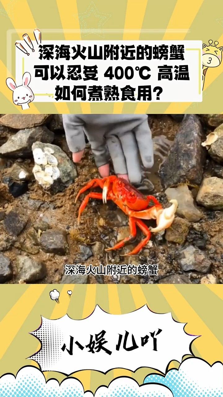 深海火山附近的螃蟹可以忍受 400℃ 高温,如何煮熟食用?#内容过于真实