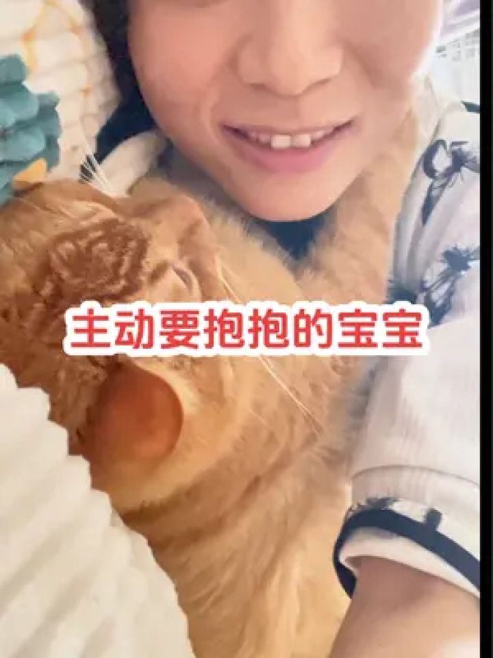 萌宠 #猫咪 #糖糖 #被猫猫治愈的瞬间 #谁能拒绝怀里的小猫咪呢