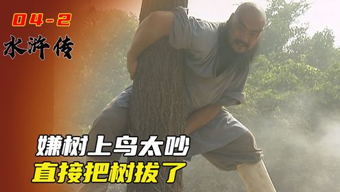 鲁智深倒拔垂杨柳,原来还真有人能把树拔起来,真乃神力啊