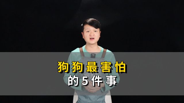 狗狗最害怕的5件事,能不做的千万别做!