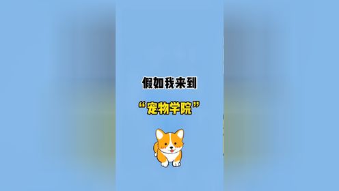 假如我来到宠物学院