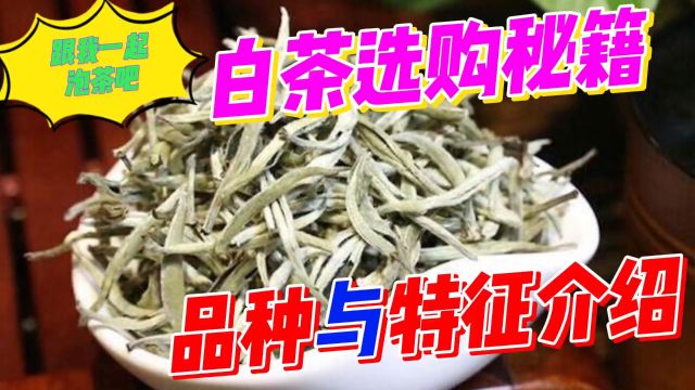 白茶的选购秘籍:品种与特征介绍