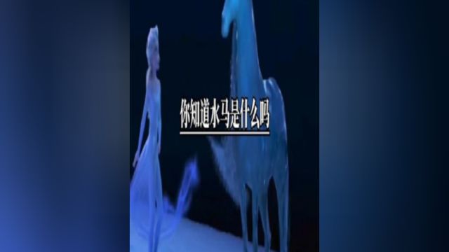 你知道水马是什么吗