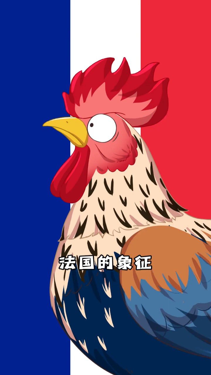 法国的高卢鸡怎么画图片