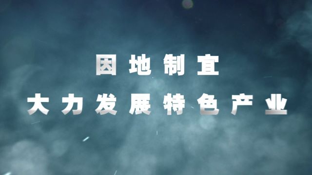 2024年中央一号文件精神解读:提升乡村产业发展水平