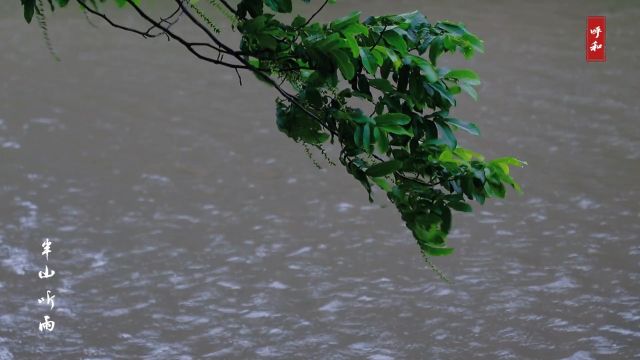 半山听雨箫洞箫观一场雨,品一壶茶,听一段曲儿