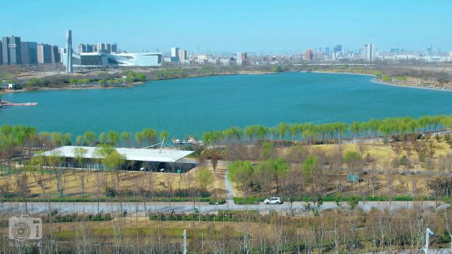 郑州初春的象湖生态湿地公园美景