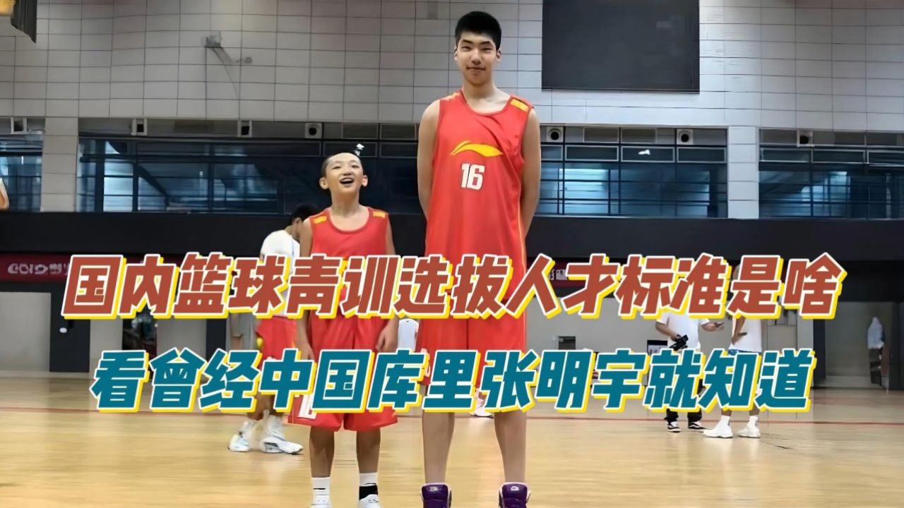 国内篮球青训选拔人才标准是什么?看"中国库里"张明宇就道答案