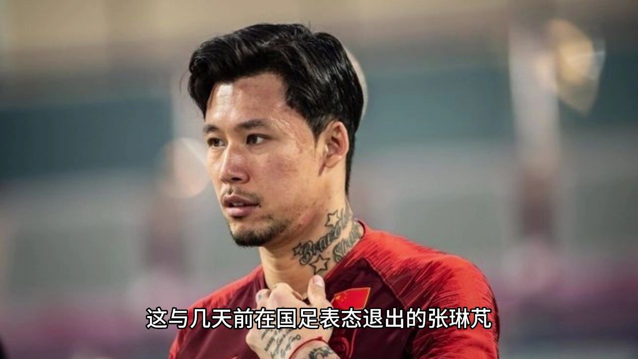 外战外行内战内行?张琳芃中超进球挥舞的农夫三拳,更像是娃哈哈