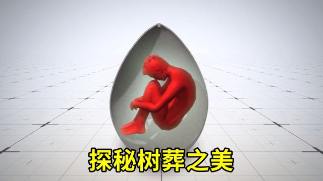 探秘树葬之美:如果是你,你愿意变成一颗什么树?