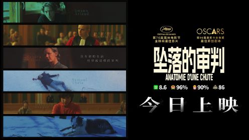 电影《坠落的审判》今日上映 影后桑德拉·惠勒全中文问好尽显诚意