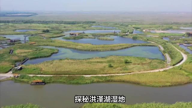 探秘洪泽湖湿地:自然与历史的完美交融之旅