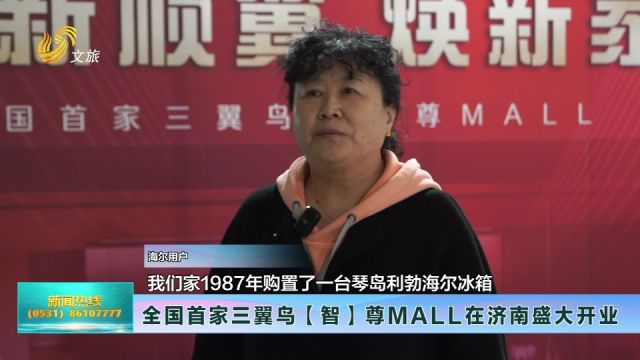 全国首家三翼鸟【智】尊MALL在济南盛大开业