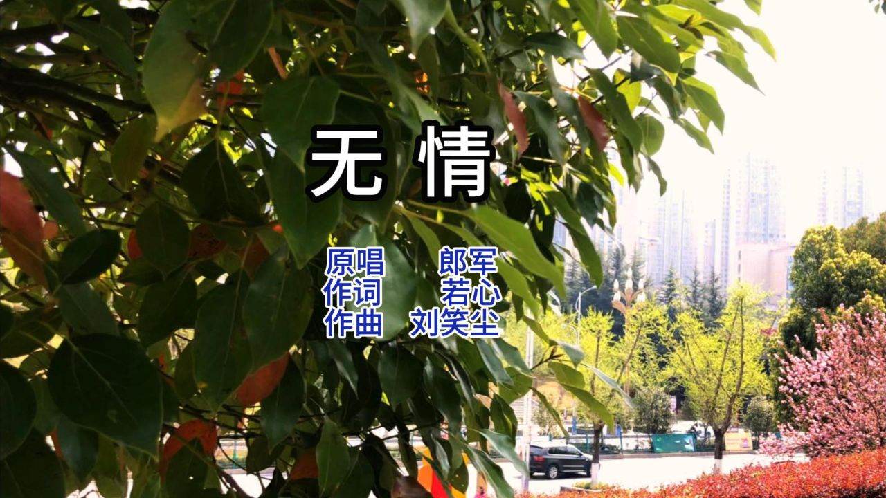 郎军的粤语金曲《无情》再次走火