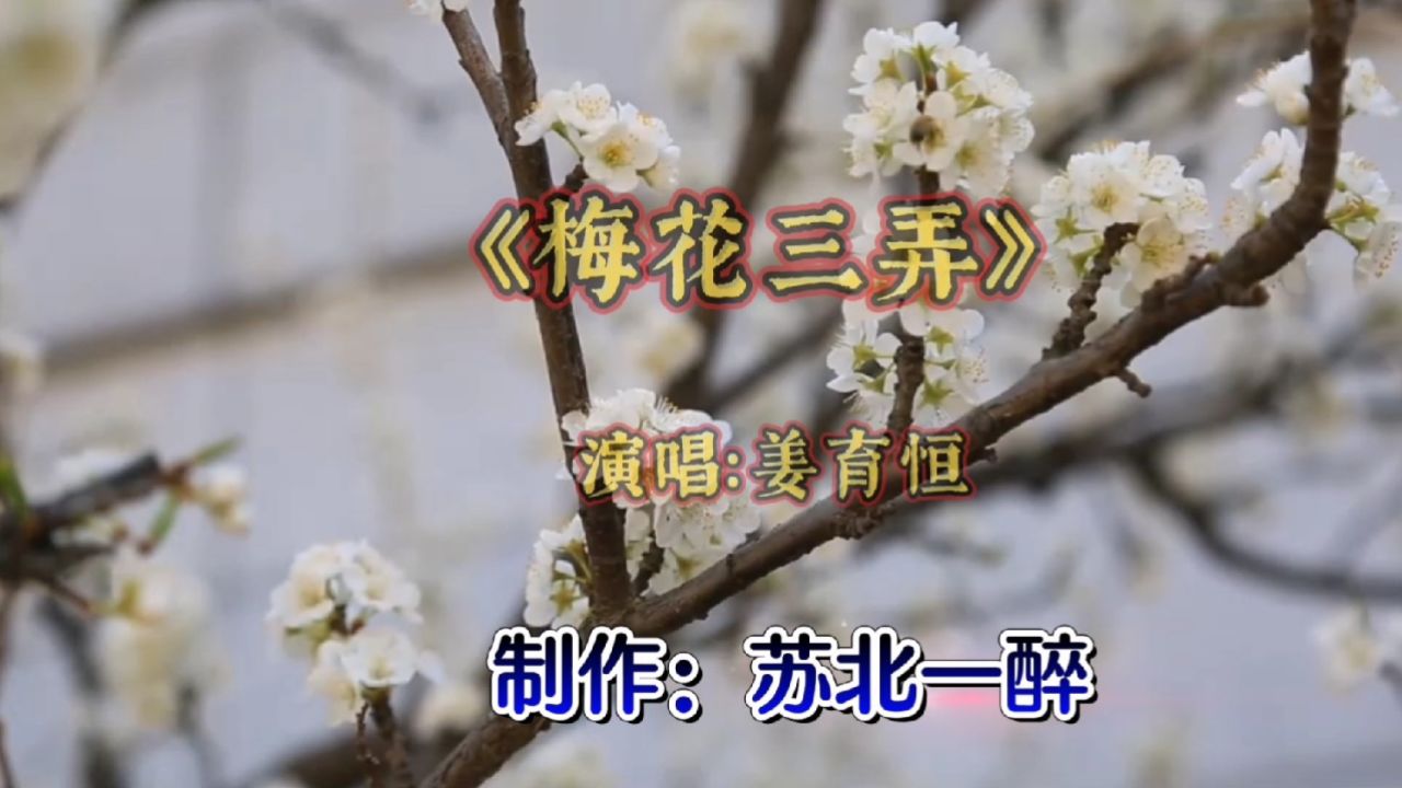 姜育恒深情演唱《梅花三弄》,问世间情为何物,直让人生死相许?