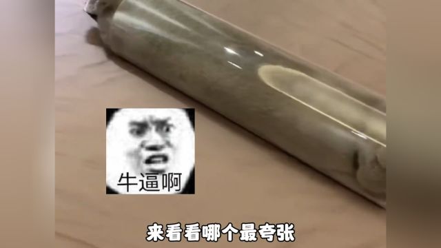 那些用水做的猫咪,来看看哪个最夸张?