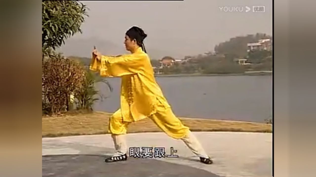 武当拳十八式分解教学 1 简介