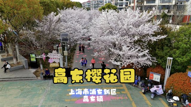 高东樱花园~上海浦东新区高东镇