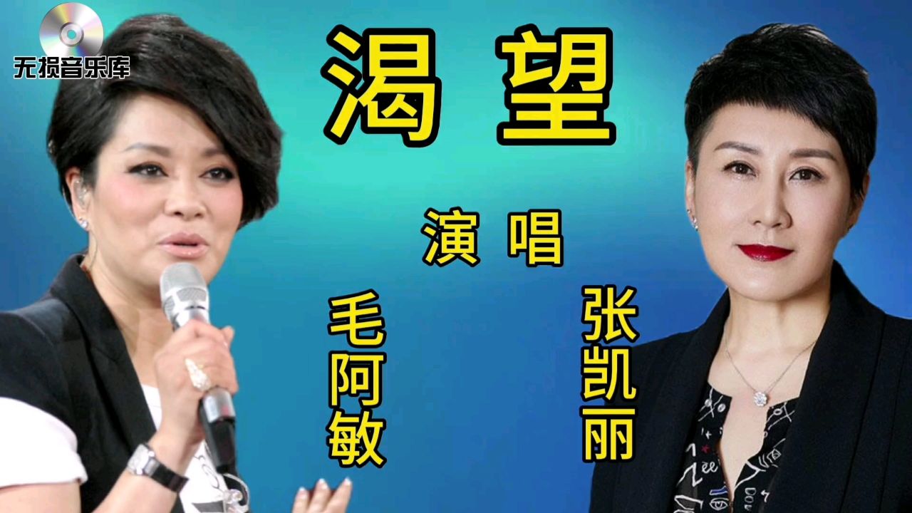 毛阿敏和张凯丽一首经典歌曲《渴望》谁更胜一筹?
