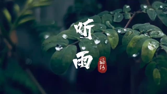 听雨