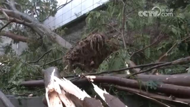 福建三明:遭遇大风冰雹强对流天气,多部门积极应对