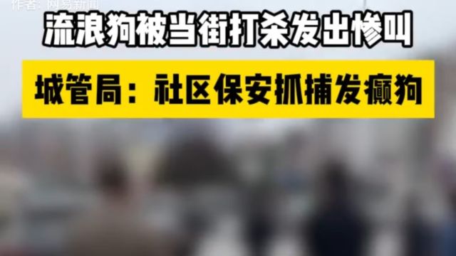 湖南永州有保安持棍棒当街打杀流浪狗!流浪狗被殴打的嗷嗷直叫!