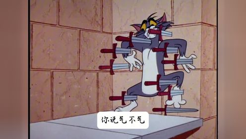 一个长达20米的汤姆猫你见过吗?