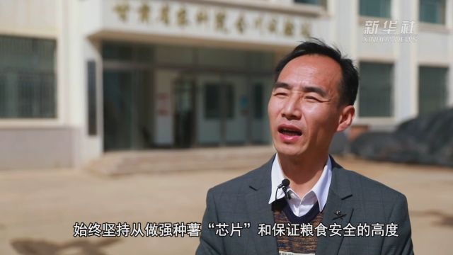 甘肃渭源:加快种业研发 做强农业“芯片”