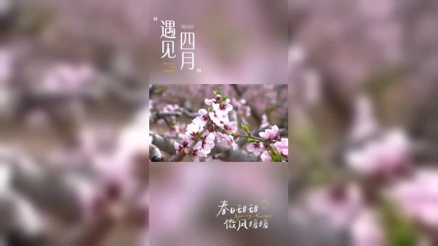 2024年秦安桃花会将于4月12日在秦安县刘坪镇秦洼桃花堡景区举行