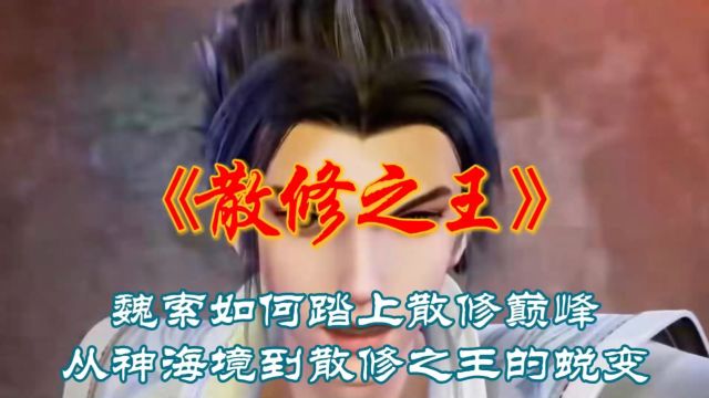 《散修之王》魏索如何踏上散修巅峰!从神海境到散修之王的蜕变!