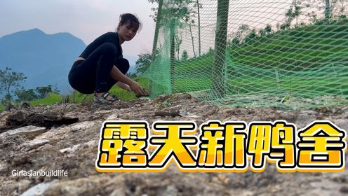 翠翠准备建新农场,鸭子们提前住进了露天新鸭舍,这待遇绝对是头一份