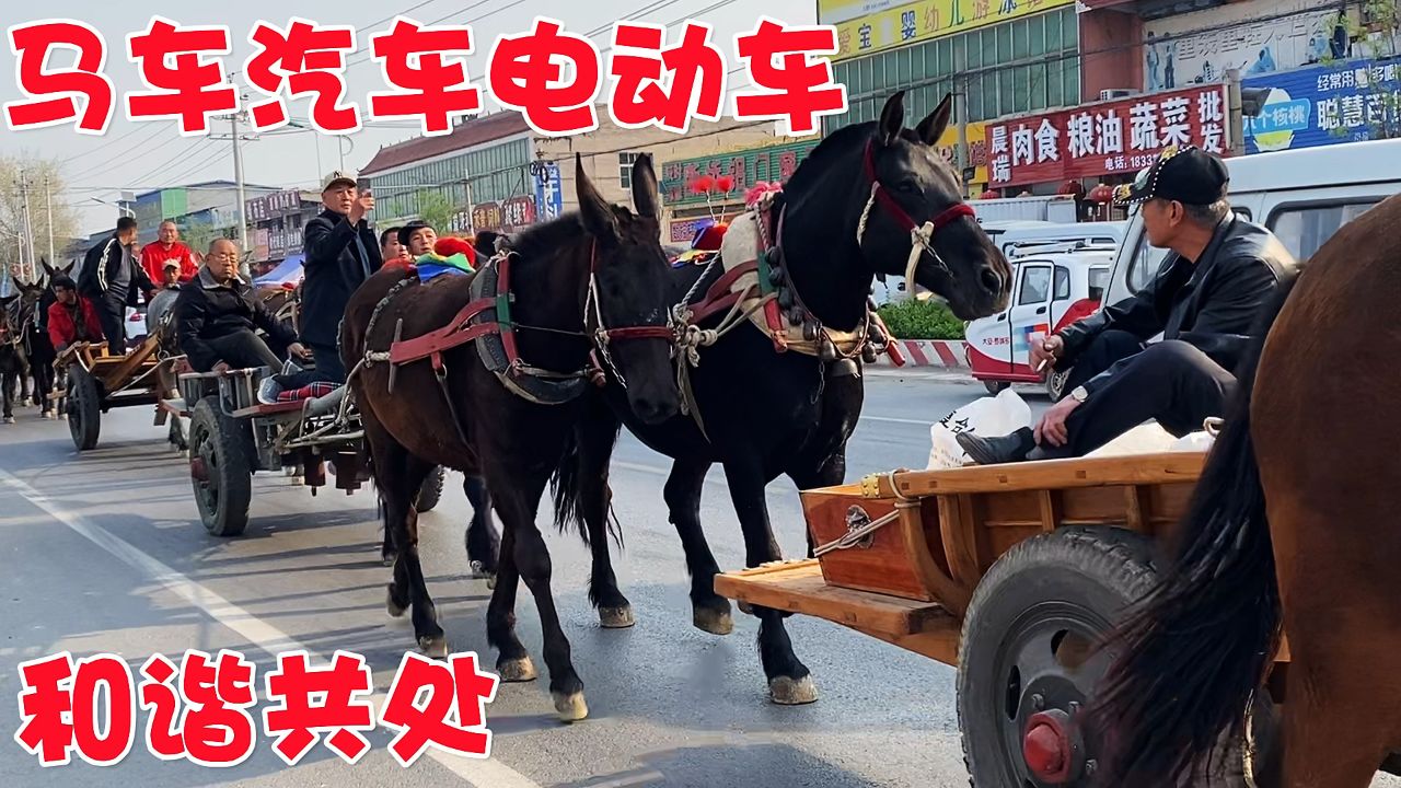 之前禁止的电动三轮四轮车,终于和汽车马车一起和谐上马路了