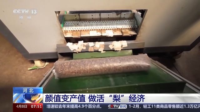 颜值变产值 做活“梨”经济 魏县这样做→