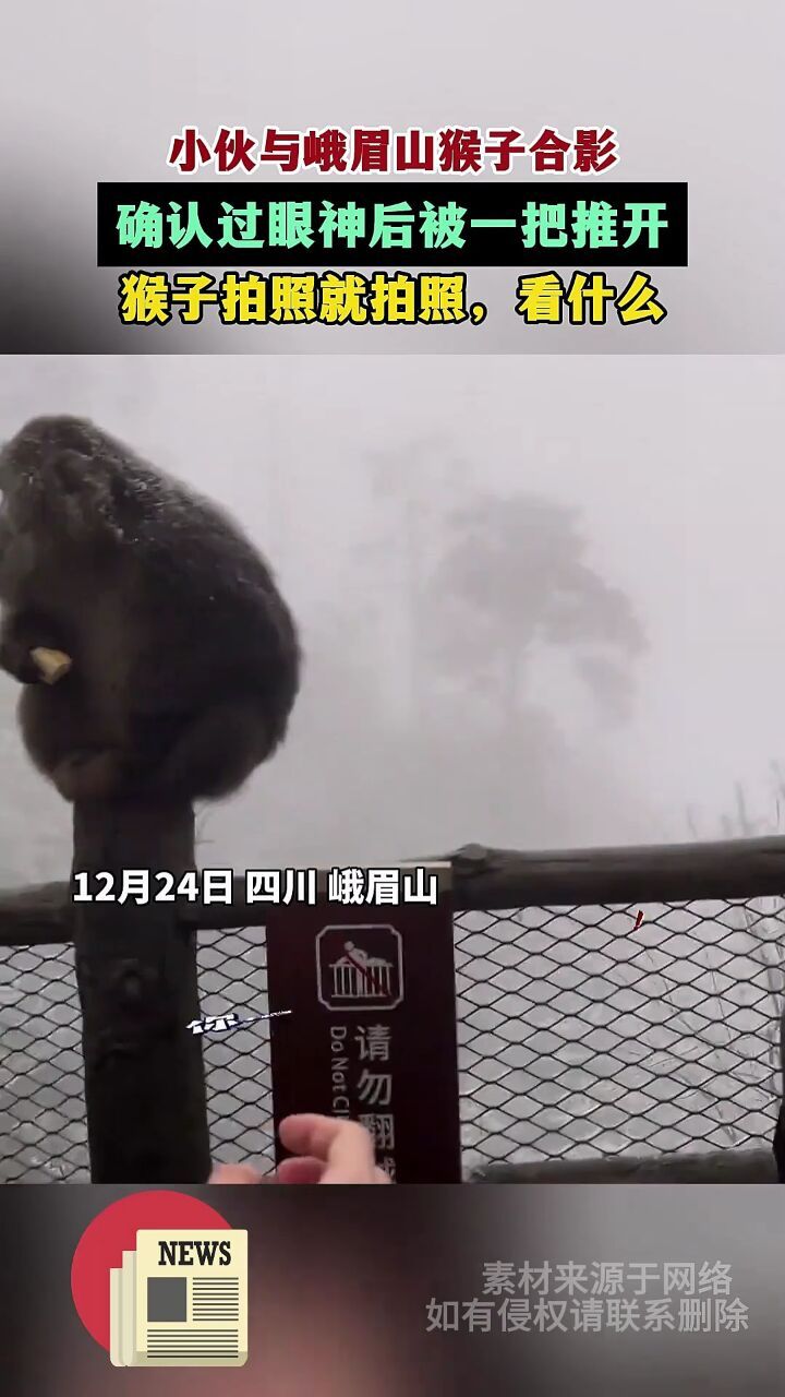 小伙与峨眉山猴子合影,确认过眼神后被一把推开.