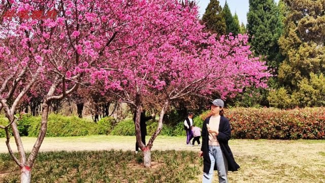 殷墟外、洹水边、铁道旁,胜日寻芳泗水滨,无边光景一时新