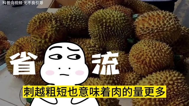 榴莲怎么选肉又大又好吃?6种方法教你选