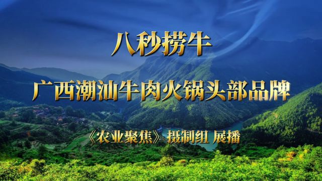 “八秒捞牛”广西潮汕牛肉火锅头部品牌–《农业聚焦》展播品牌